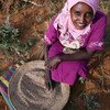  Buthaina Ahmed Ibrahim, 28 ans, récolte du sésame. Elle utilisera les graines pour faire des bonbons à vendre. Elle est l'une des 30 000 femmes rurales du Soudan dont la vie a changé suite à l'initiative de microfinance ABSUMI.