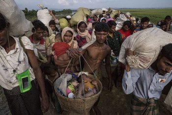 A Rohingya refugee carries a child in a basket as he and others who crossed the Naf River the night before carry their belongings as they make their way through a no-man's land area along the border between Myanmar and Bangladesh.