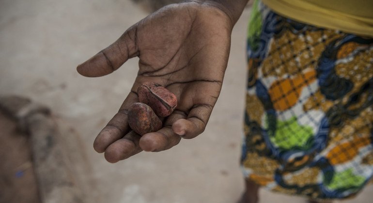 Una comadrona enseña las nueces Kola, un fruto seco que forma parte de las tradiciones prematrimoniales en Ghana.