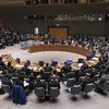 Wide shot of the Security Council in session.