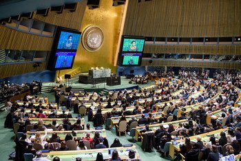 Assembleia Geral da ONU.