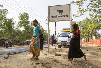 Знак «Осторожно, слоны!» в лагере для беженцев Кутупалонг в Бангладеш.