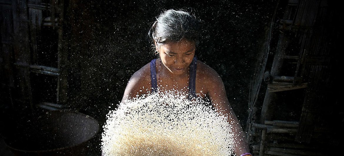 在孟加拉国的一个偏远村庄， 一名年轻女子对大米进行筛选。