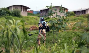 Un membre du Service de la lutte antimines des Nations Unies (UNMAS) vérifie la présence d'engins explosifs près d'une base de l'ONU dans la capitale Juba, au Soudan du Sud.