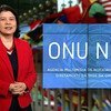 Monica Grayley - ONU News