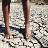 Последствия засухи в Зимбабве. Фото из архива