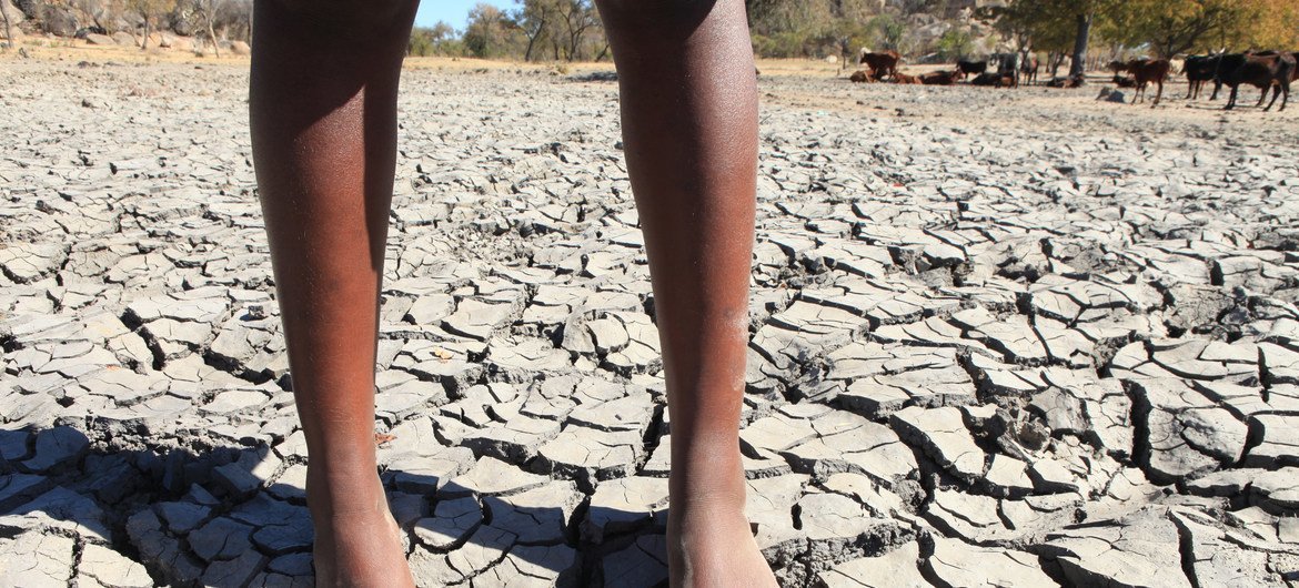 فتاة شابة تقف على سطح سد في جنوب زيمبابوي، حيث اعتادت على جلب المياه من هذا المصدر، قبل أن يضرب الجفاف القاسي المنطقة بسبب تأثيرات ظاهرة النينيو.  (صورة من الملف)