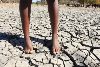 Последствия засухи в Зимбабве. Фото из архива