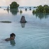 شاب من جمهورية كيريباس بالمحيط الهادئ يسبح في منطقة غمرتها المياه. جزر المحيط الهادئ من أشد البلدان تأثرا بتغير المناخ.