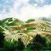 中国西南地区的美丽梯田。中国云南的梯田与贵州的稻鱼鸭系统被选为粮农组织全球农业文化遗产。