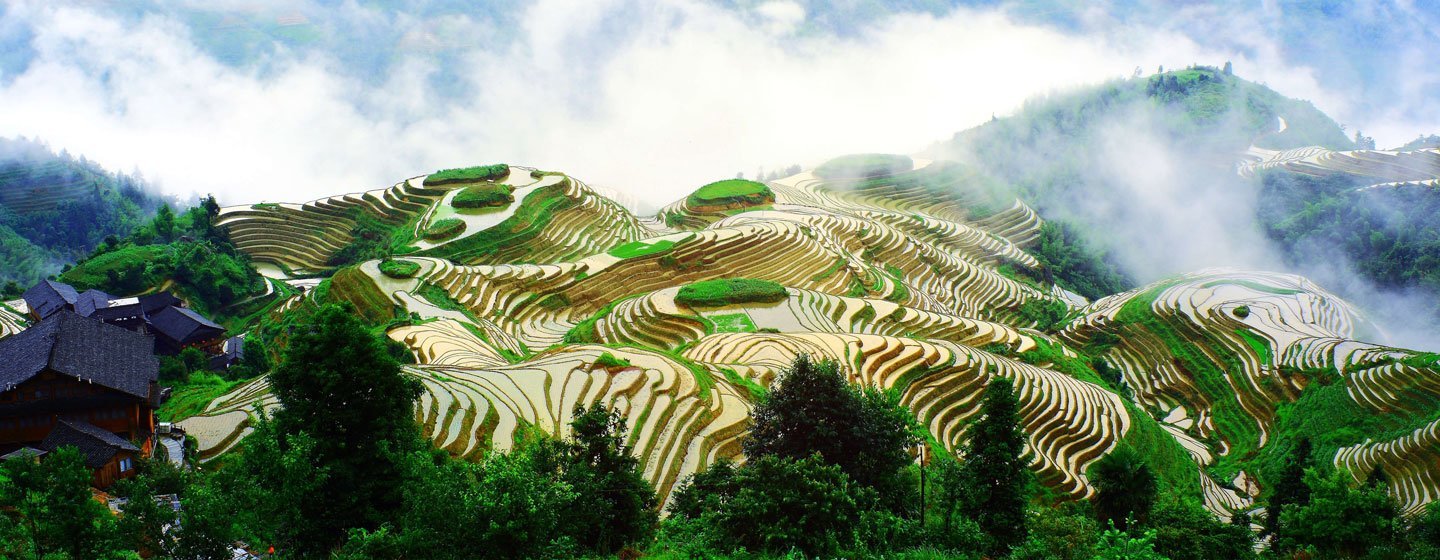 Kilimo cha mpunga katika milima za Longsheng Longji Terraces, China
