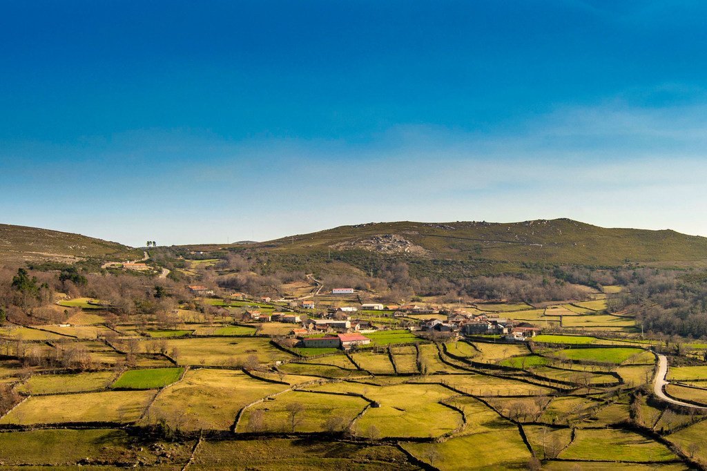 葡萄牙巴罗佐地区的农-林-牧系统。
