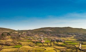 Cельскохозяйственные системы в Баррозу на севере Португалии, в которых гармонично соседствуют поля, леса и пастбища