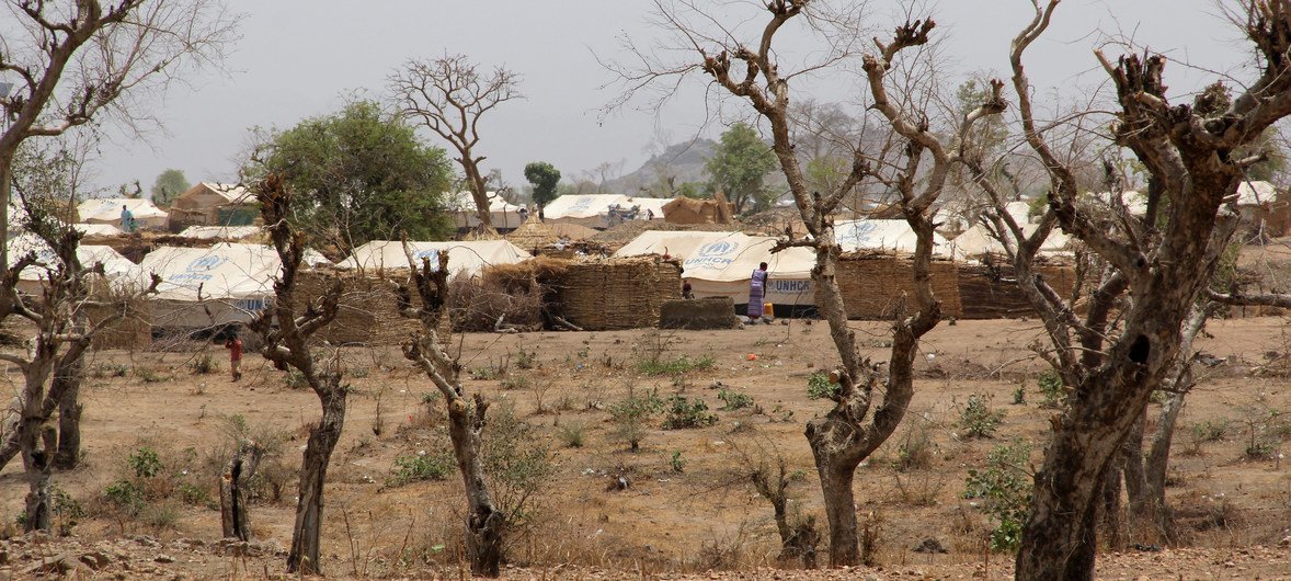 Un camp de réfugiés dans le nord du Cameroun hébergeant des réfugiés nigérians (archives).