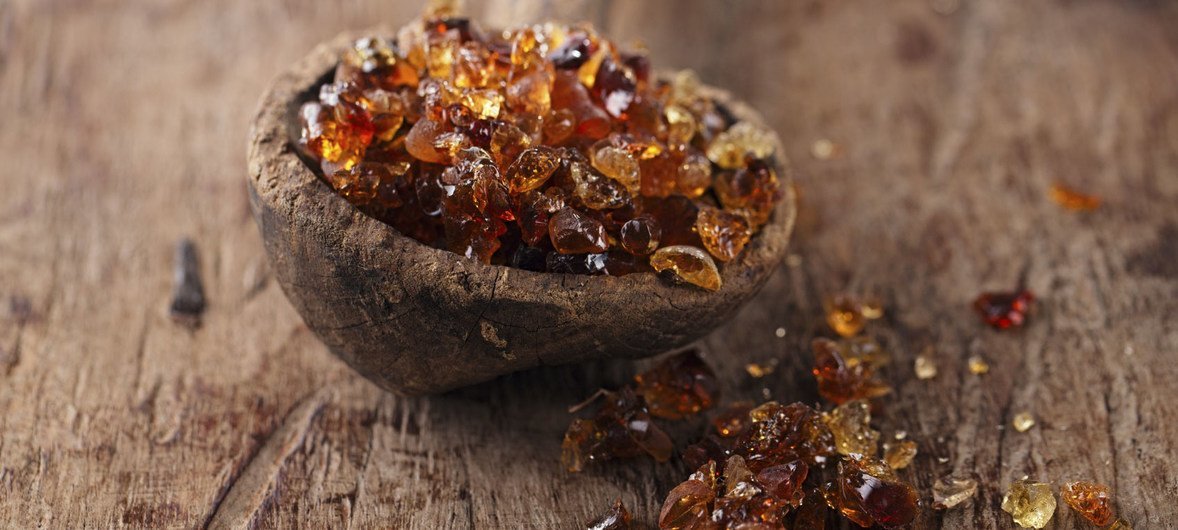 Morceaux de résine de gomme arabique de couleur ambre dans une cuillère en bois sur une surface en bois.