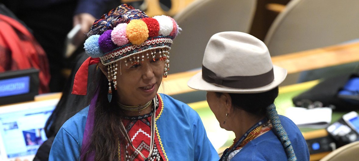 Participants of the seventeenth session of the UN Permanent Forum on Indigenous Issues.
