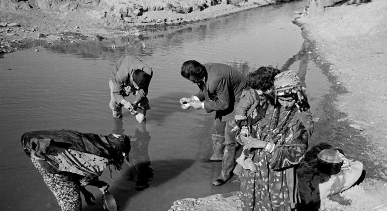 Pictured here is Dr. Luigi Mara (Italy) of the World Health Organization’s anti-malaria project in Iraq, part of the WHO world-wide campaign to eradicate malaria everywhere.  Dr. Mara is examining stagnant water to find out the types of mosquito larvae ha