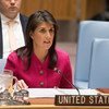 Постпред США при ООН Никки Хейли на заседании Совета Безопасности