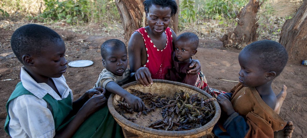 A family eats a daily meal of dried peas at home in Balaka district in Malawi. (June 2016)