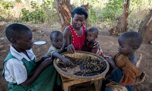 A family eats a daily meal of dried peas at home in Balaka district in Malawi