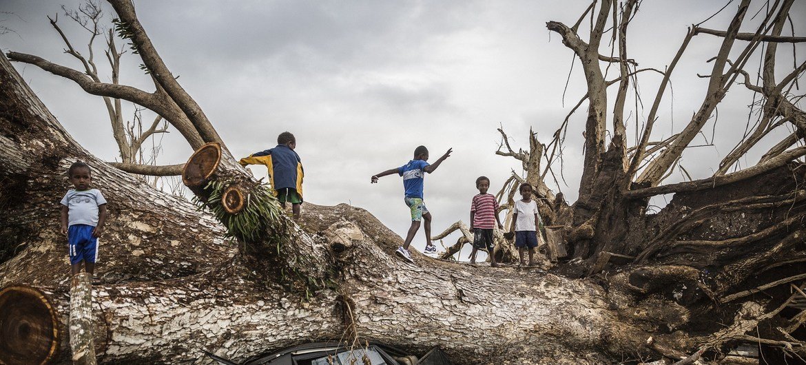 Des enfants jouent sur un arbre tombé lors du cyclone Pam du 13 mars 2015 et s'est écrasé sur une voiture à la périphérie de Port Vila à Vanuatu.