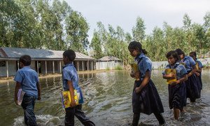 孟加拉国每年都会发洪水，图为2014年9月9日发生洪灾后，学生们上学的路上。2020年季风季节，该国的洪水异常严重。