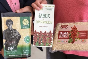 Productos con sabor a conservación, procedentes de la Amazonía de Perú.