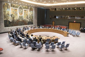 Заседание Совета Безопасности ООН 