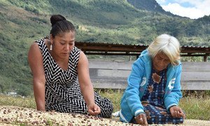 Mujeres del café, la tercera fotografía ganadora del concurso Mujeres Indígenas y Seguridad Alimentaria de América Latina y el Caribe.