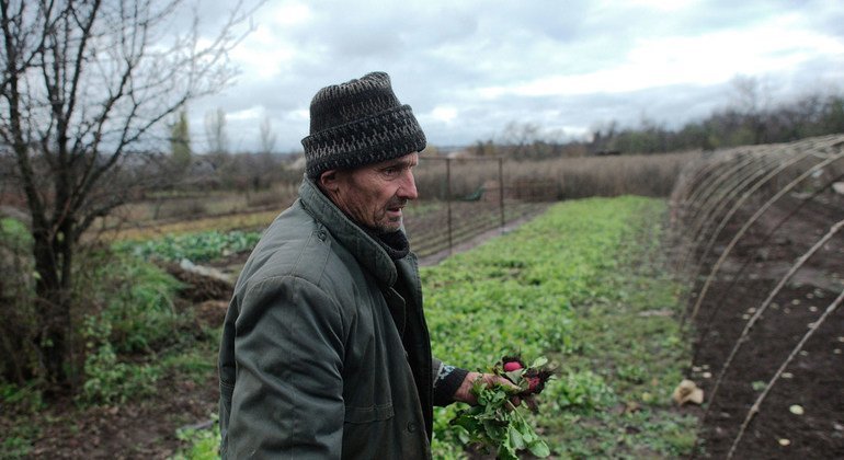 Микола со своей женой живет в деревне у "контактной линии". Он выращивает редис, чтобы хоть как-то прокормить себя, но деревня давно опустела и покупать его урожай некому