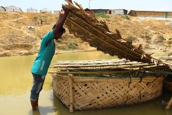 L’OIM et ses partenaires plantent de l’herbe de vétiver, stockée dans des panières flottantes en bambou, afin de réduire l’érosion des sols dans les camps de réfugiés de Cox 's Bazar.