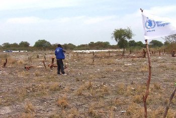 الإسقاط الجوي للمساعدات الغذائية في كانداك بجنوب السودان هو الحل الوحيد للمساعدة في موسم العجاف