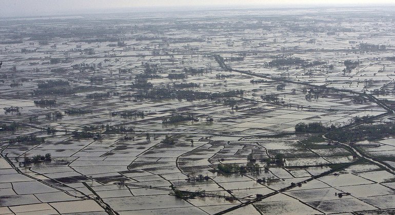 An aerial view of the Ayeyarwady delta region, in Myanmar, along the shores of the Andaman Sea, damaged by cyclone "Nargis". (2008)