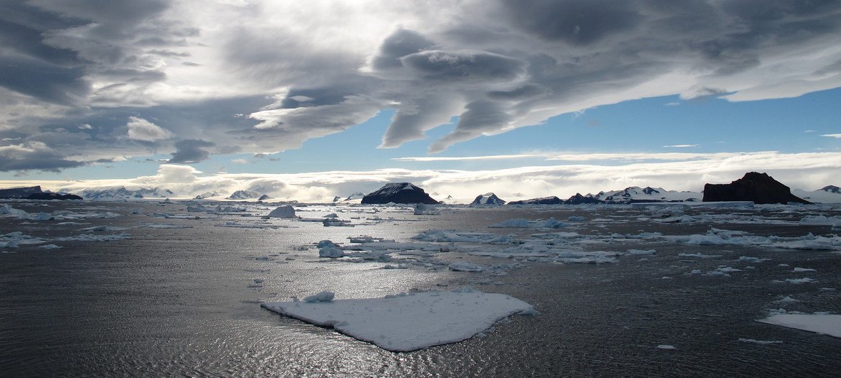 अंटार्कटिका के प्रिंस गुस्ताव चैनल में पानी पर तैरती हिम चादरें. वहाँ 28 किलोमीटर लंबी प्रिंस गुस्ताव हिम चादर हुआ करती थी. हाल के वर्षों और दशकों में ये हिम चादरें पिघल गई हैं.