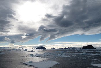 الجليد العائم على مياه قناة الأمير جوستاف في القارة القطبية الجنوبية، حيث كان يوجد جرف جليدي (جرف الأمير جوستاف) يزيد عن 28 كم. وتراجع الجرف الجليدي وانهار منذ ذلك الحين. (من الأرشيف)
