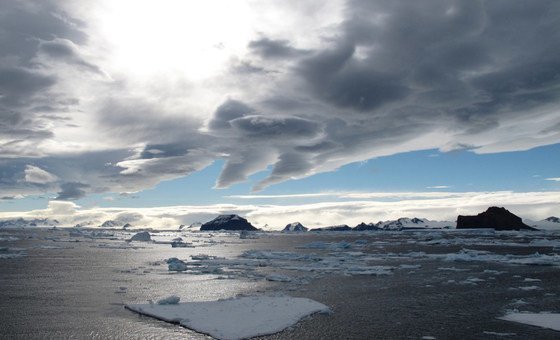 Ice floating on the waters of Prince Gustav Channel in Antarctica, where an ice shelf (Prince Gustav Ice Shelf) of more than 28 km used to exist.  The ice shelf has since retreated and collapsed. (file)