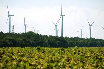 Éoliennes près de Kavarna, Bulgarie. Selon le rapport ''Emploi et questions sociales dans le monde 2018'' de l'OIT, l'action pour lutter contre le changement climatique va créer 24 millions d'emplois d'ici 2030.
