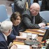 Розмари Дикарло на заседании Совета  Безопасности ООН 