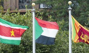 Le drapeau du Soudan (au centre) flottant au siège des Nations Unies à New York.