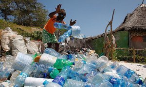 肯尼亚海滨城市瓦塔姆的当地民众同非政府组织“当地海洋保护”一道每周五参加海滩清理塑料垃圾活动。