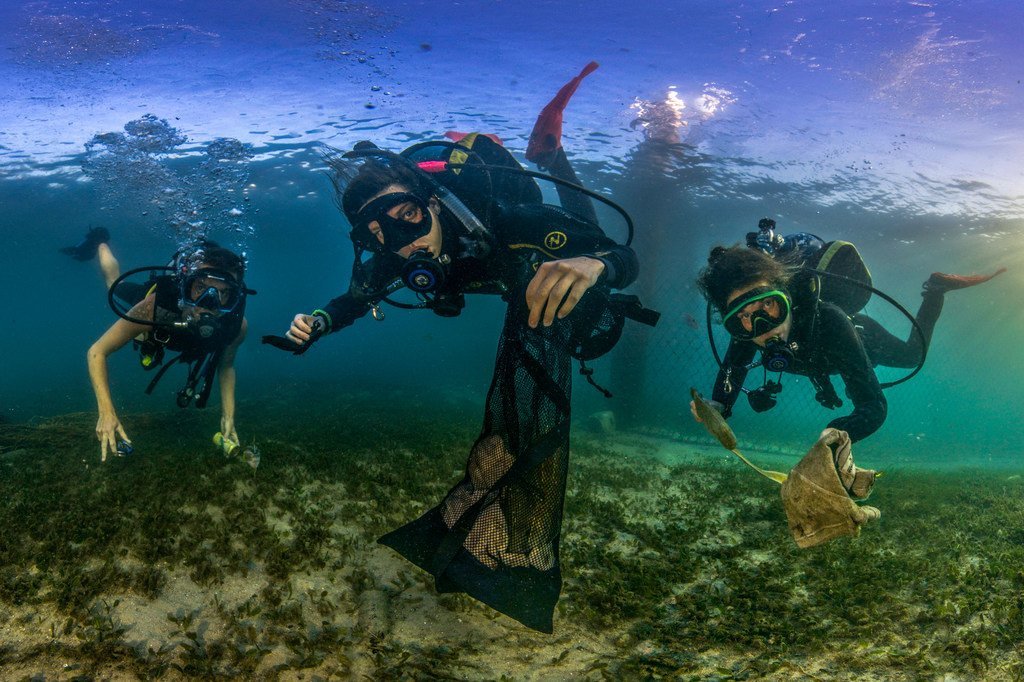 Аквалангисты очищают морское дно от пластика у побережья Сиднея в Австралии.