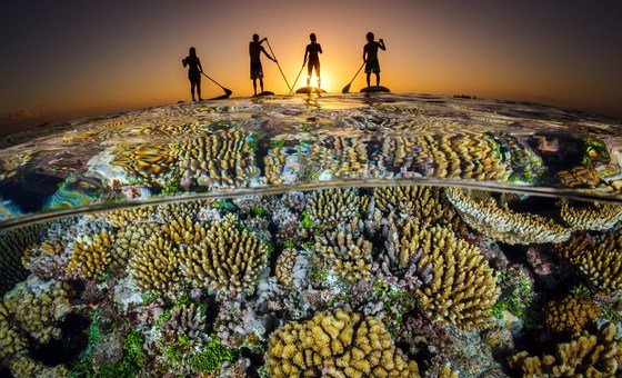 Países aceleram planos nacionais para travar perda de biodiversidade até 2030