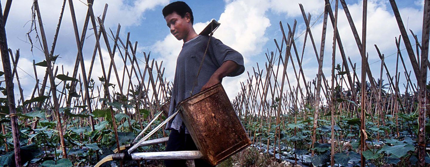 Watering plants is part of the tasks of children that work in the plantation and agricultural sector in North Sumatra, Indonesia.