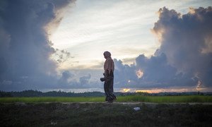 A Rohingya woman crosses the border from Myanmar into Bangladesh near the village of Anzuman Para in Palong Khali.