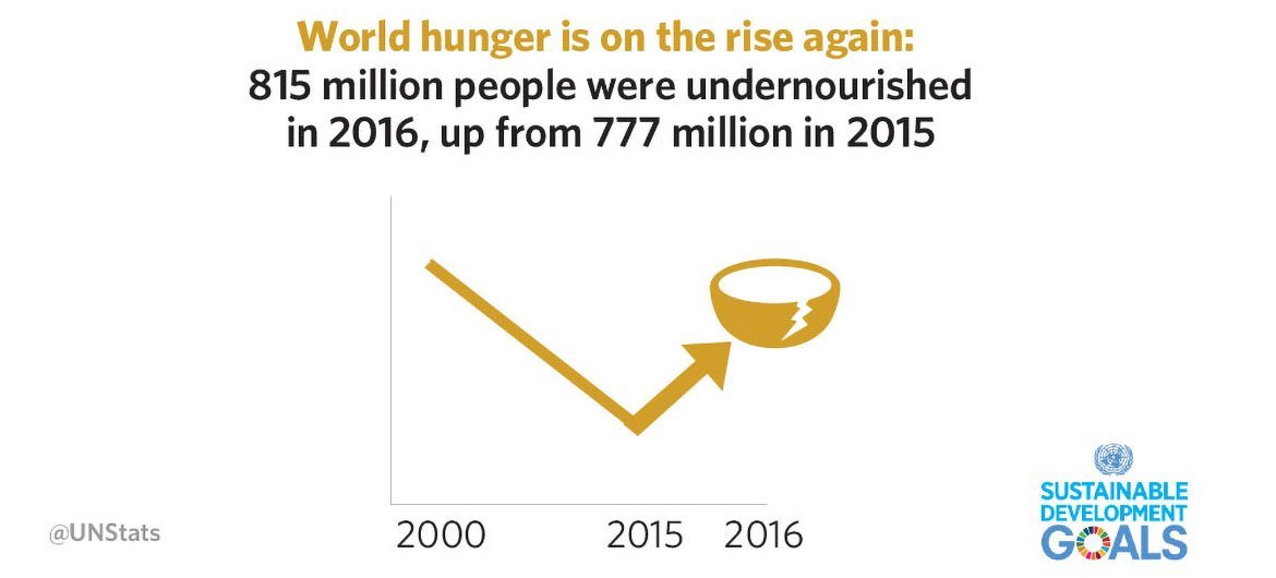 Sustainable Development Goals Report 2018: World Hunger infographic.
