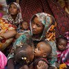 وجد اللاجئون، الذين فروا من العنف في دارفور في السودان والذين تعرضوا للاعتداء في ليبيا، الأمان في مركز استقبال في أغاديز، النيجر.