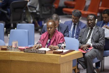 联合国负责非洲维和行动的助理秘书长凯塔在安理会做情况通报。