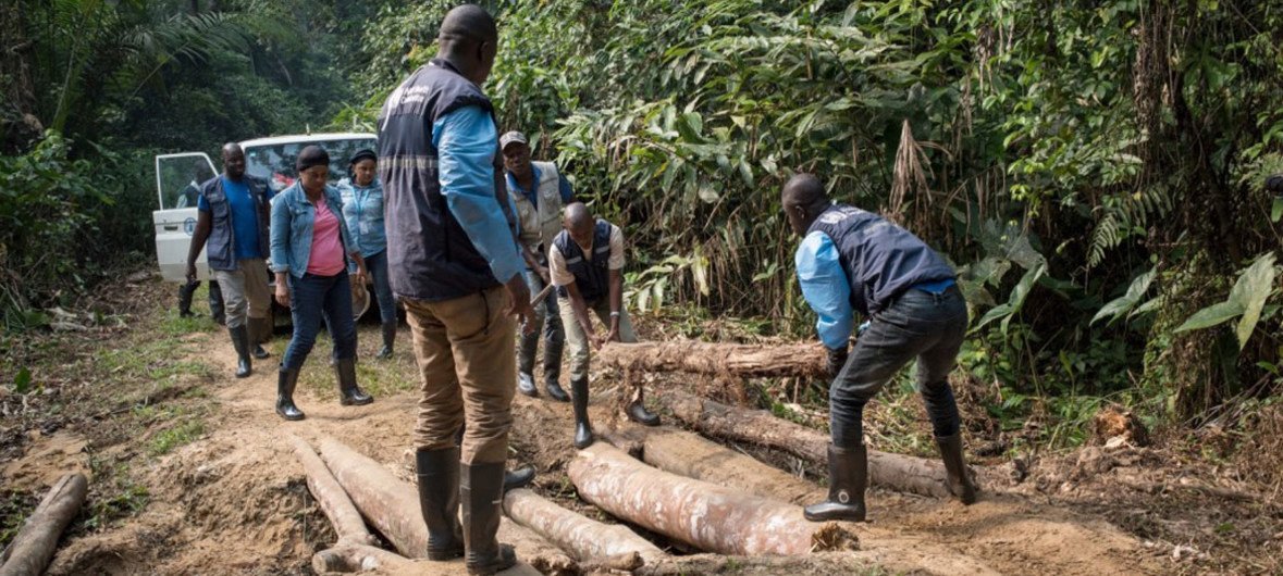 WHO team with the help of local residents hack their way through the Equatorial forest to bring Ebola vaccine to remote communities in the Democratic Republic of Congo.