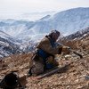 在阿富汗喀布尔附近的山区，一名爆炸物专家正在进行排雷作业。