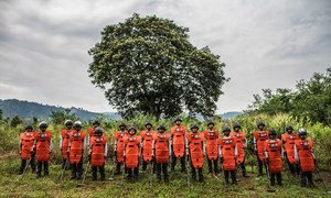 El Servicio de la ONU de Actividades relativas a las minas fortaleció la capacidad nacional apoyando operaciones de desminado de la Campaña Colombiana Contra las Minas, una organización colombiana en el municipio de Algeciras, en el departamento de Huila.